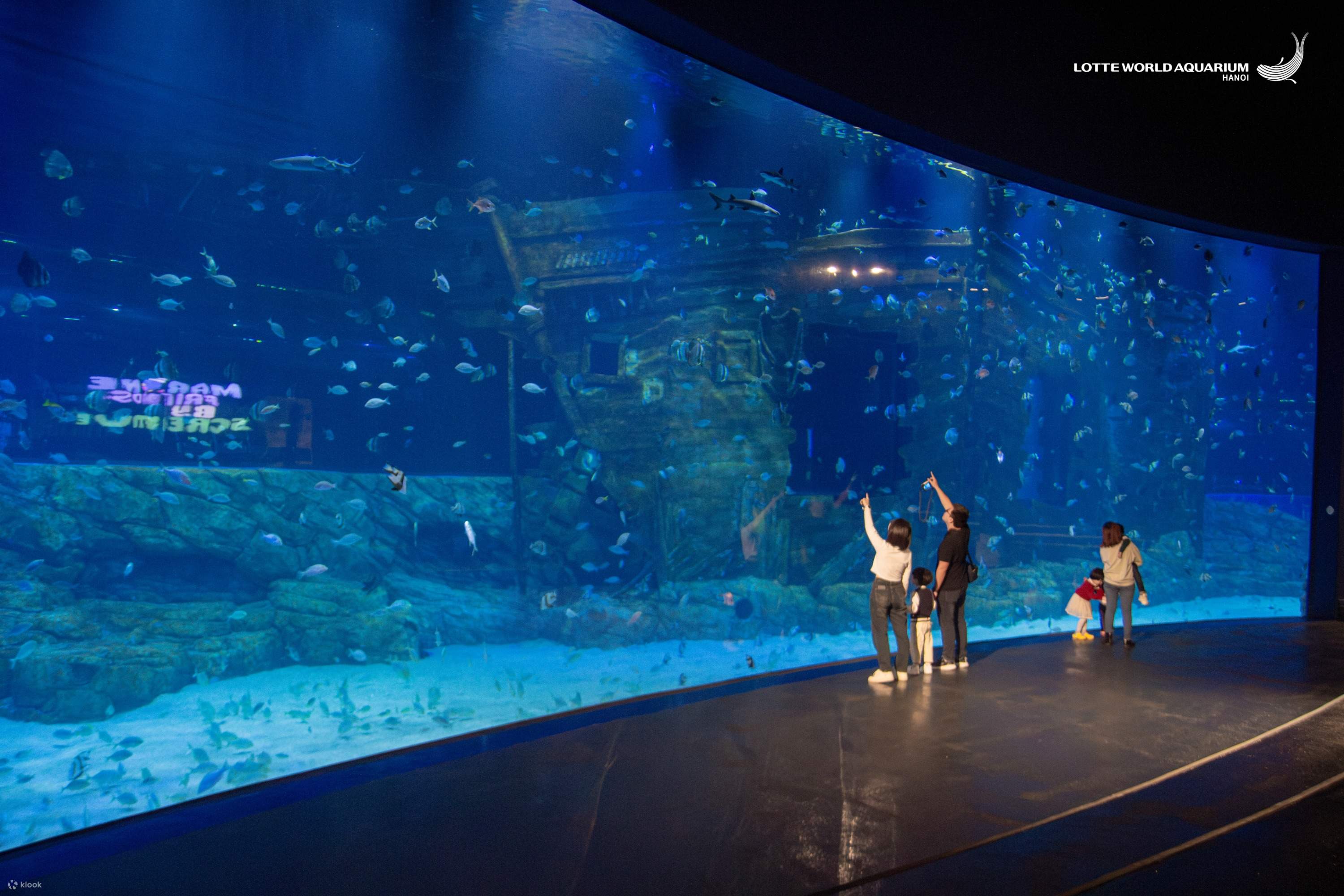 Thuỷ Cung Lotte World Hà Nội