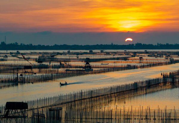 Đầm Chuồn Huế