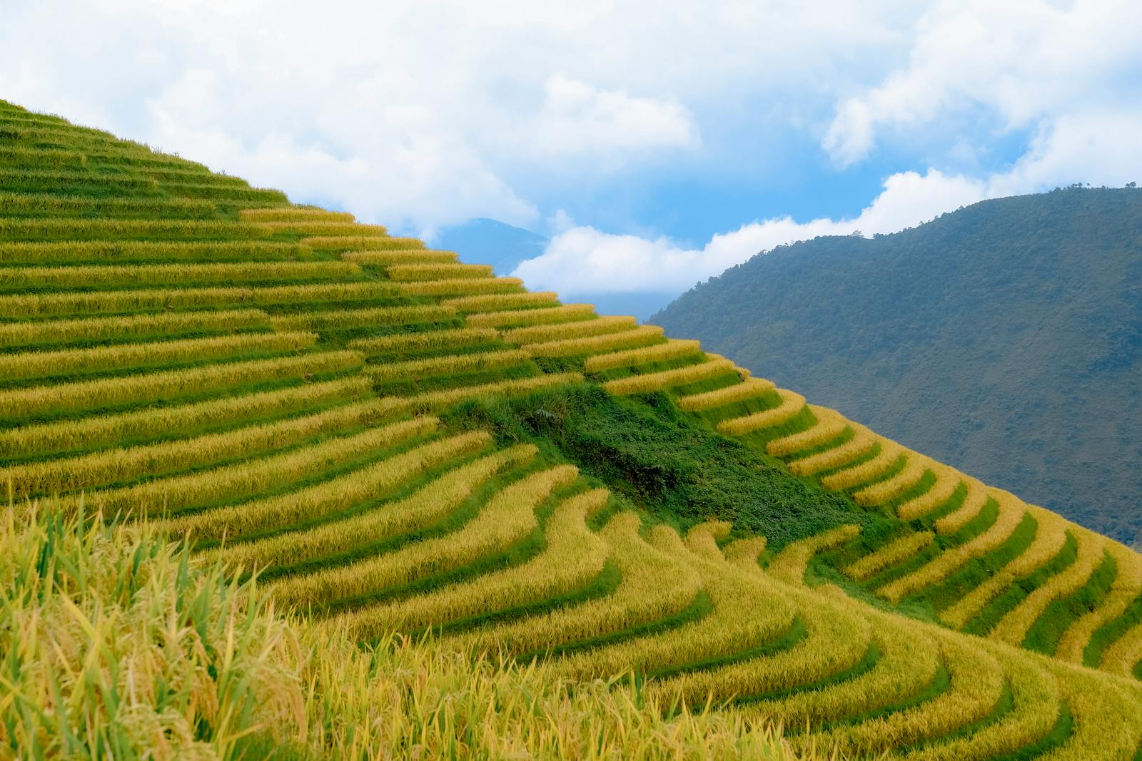 Làng Sảo Há Vần Chải Đồng Văn ẩn mình ở độ cao 2000m — hidden gem Hà Giang 2026