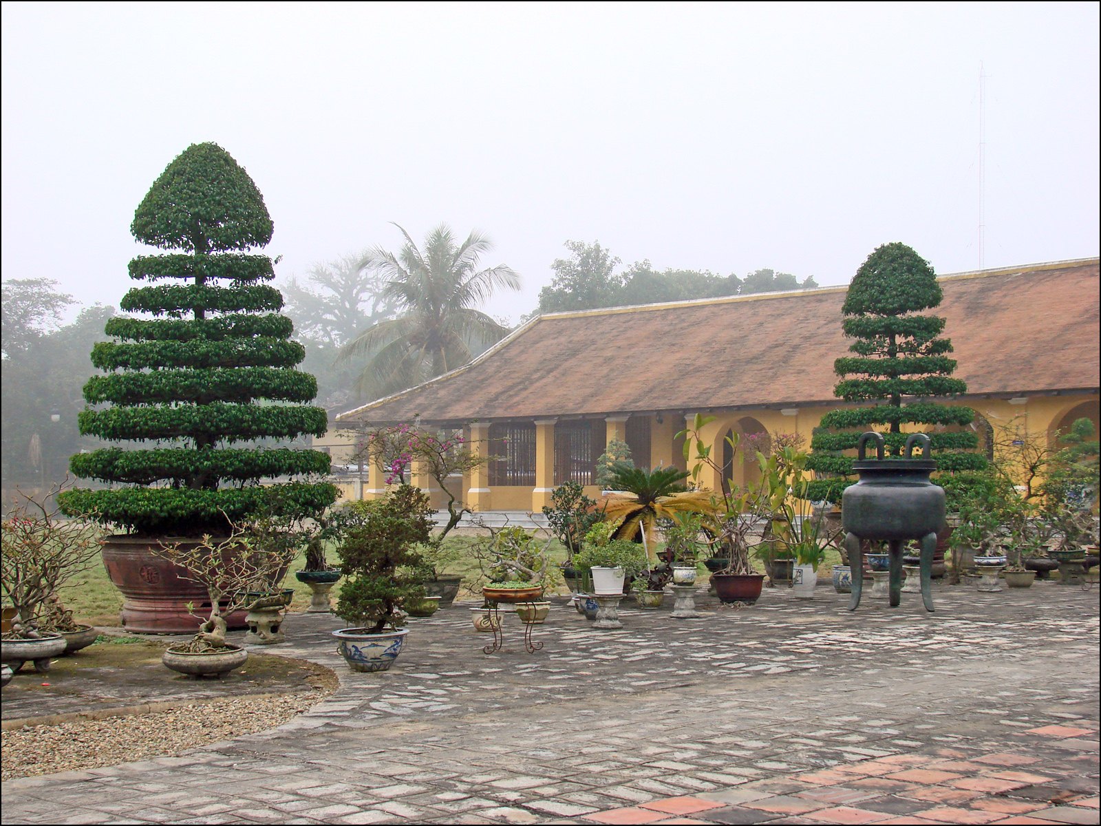Back garden, An Dinh Palace - gợi ý hành trình
