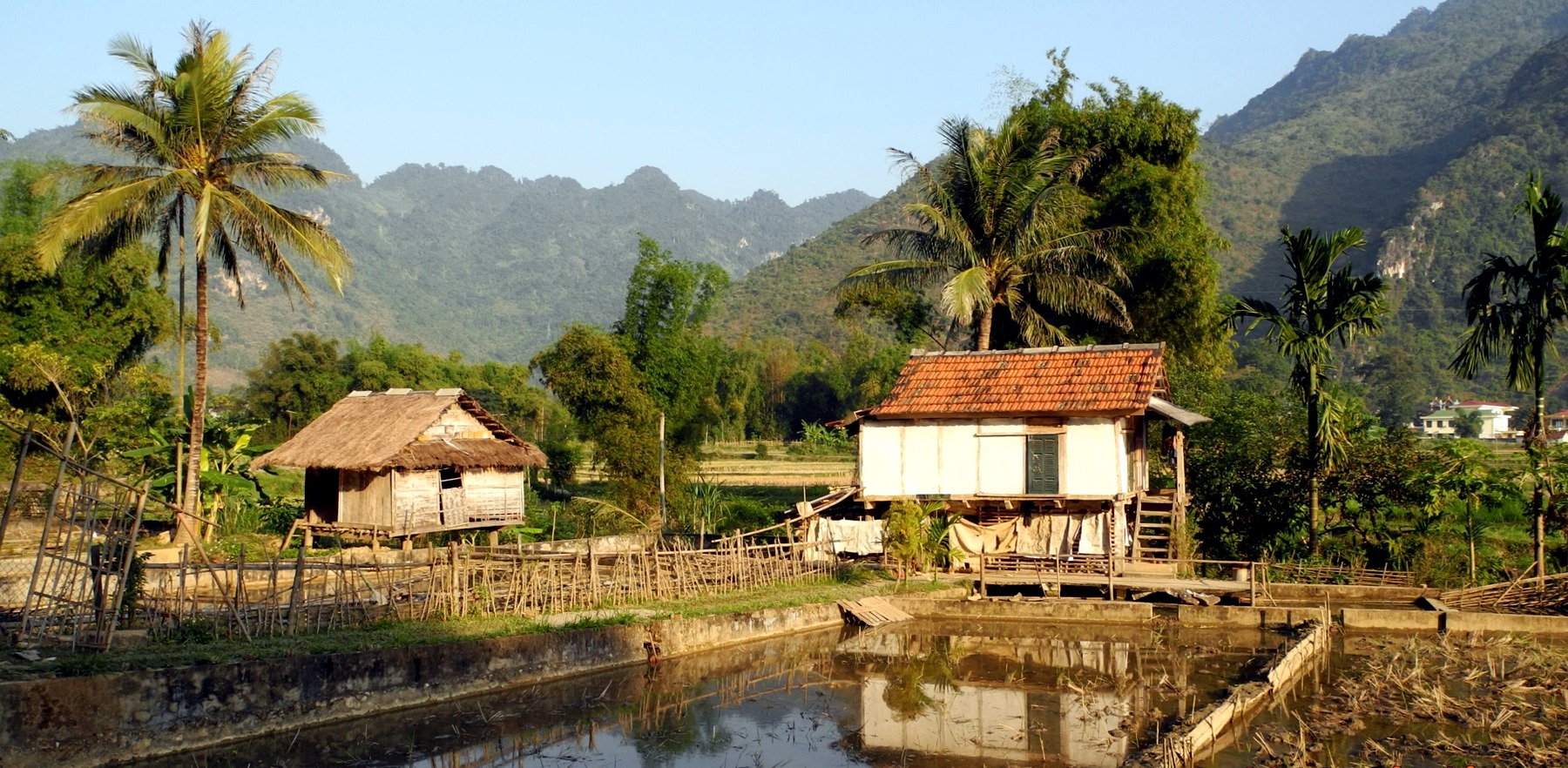 Nhà sàn và ruộng lúa trong không gian Mai Châu - Bản Lác