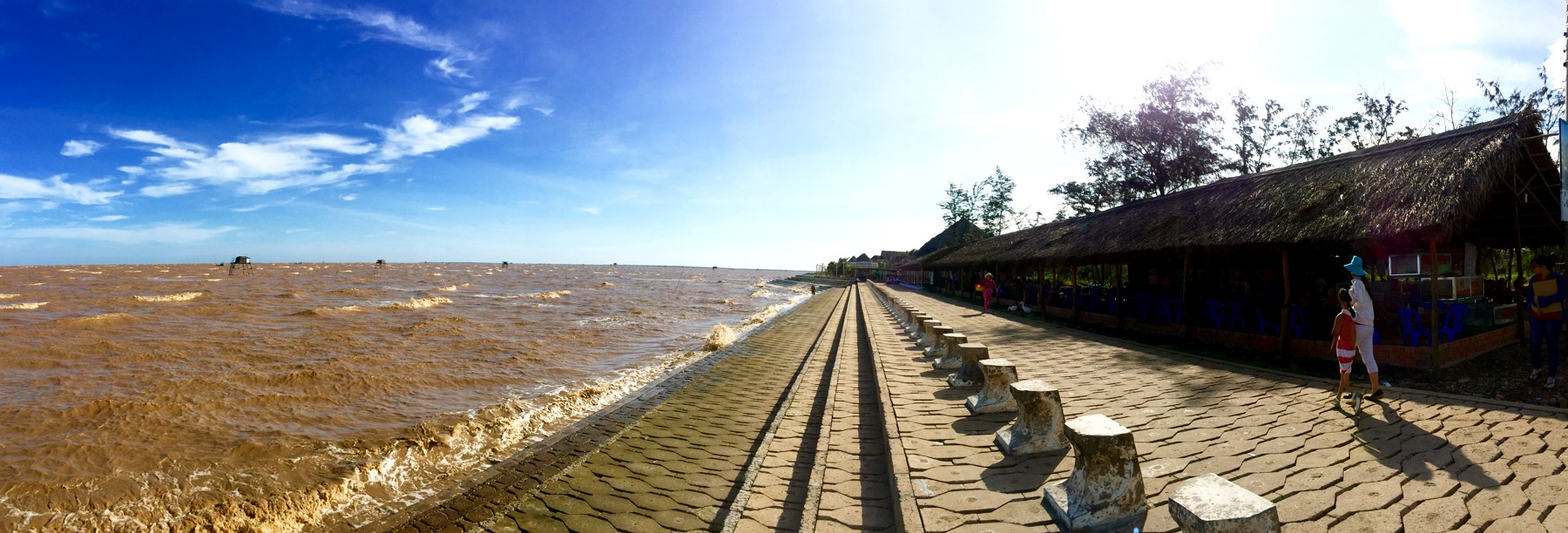 Biển Tân Thành Tiền Giang - kinh nghiệm đi bãi bồi Gò Công, ăn nghêu
