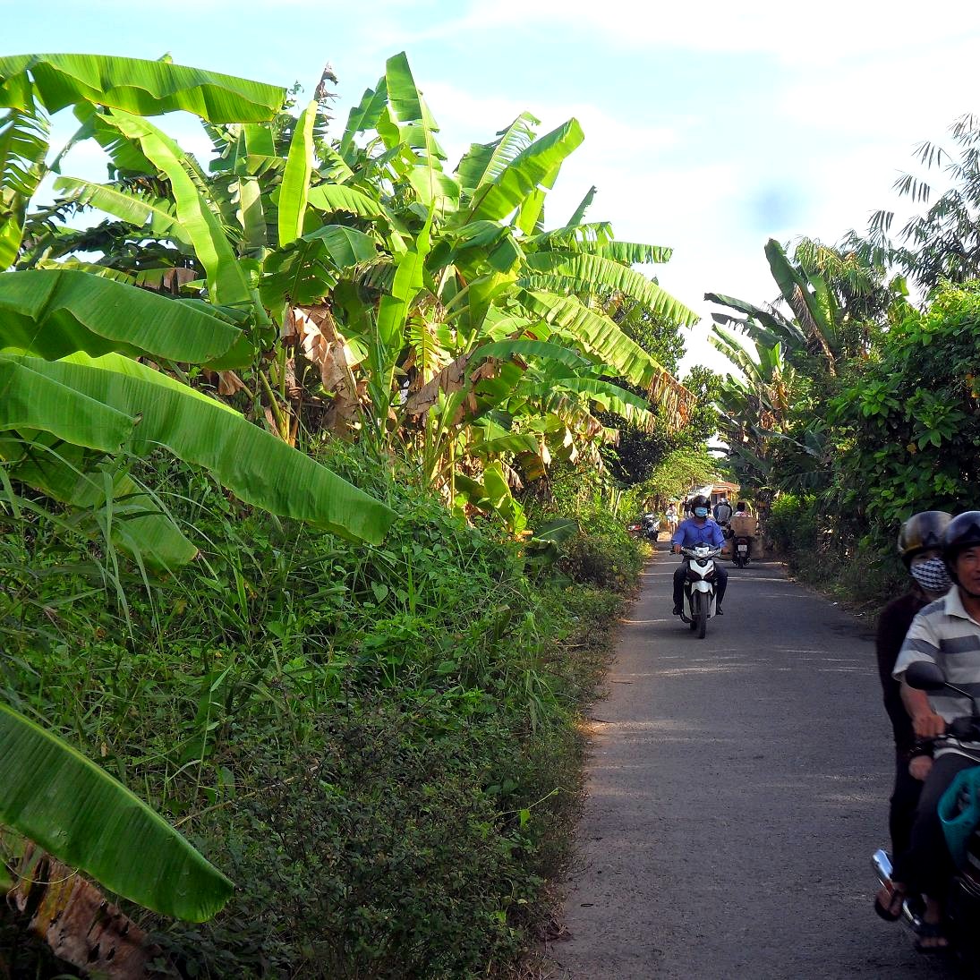 Cù lao An Bình trong tuyến Vĩnh Long - Cái Bè - Sa Đéc