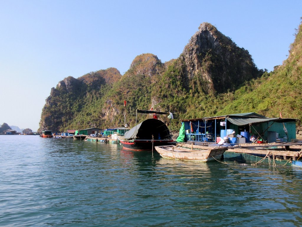Làng chài Cửa Vạn: nên ghé lúc nào, xem gì trên vịnh Hạ Long
