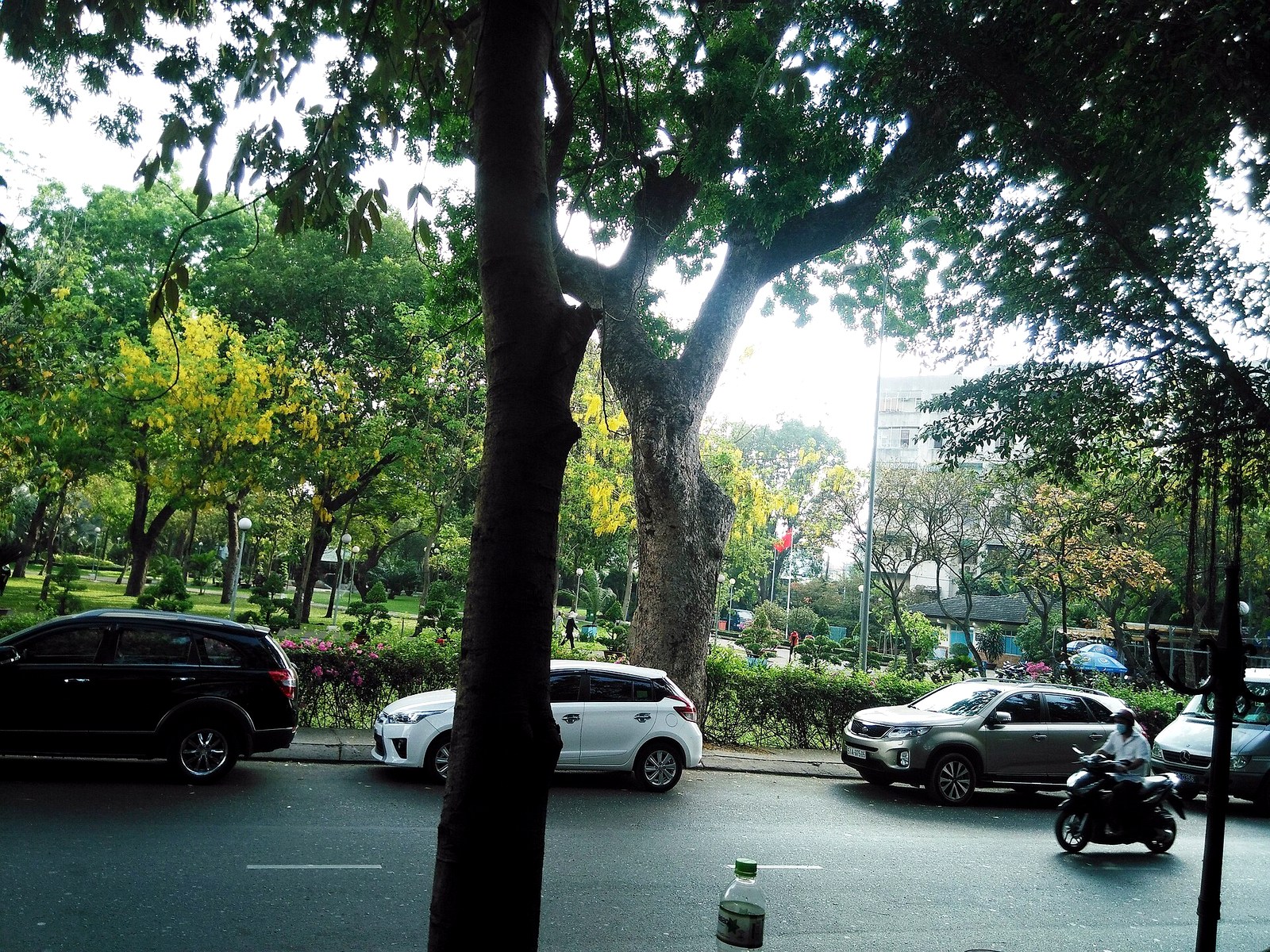 Không gian đi bộ ở Công viên Gia Định