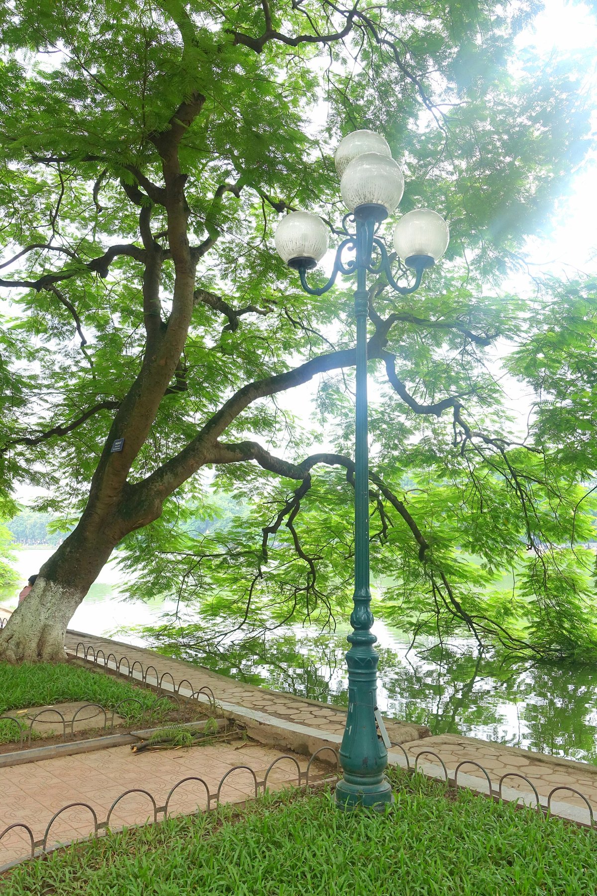 Một góc khác của Hoan Kiem Lake (Lake of the Restored Sword)