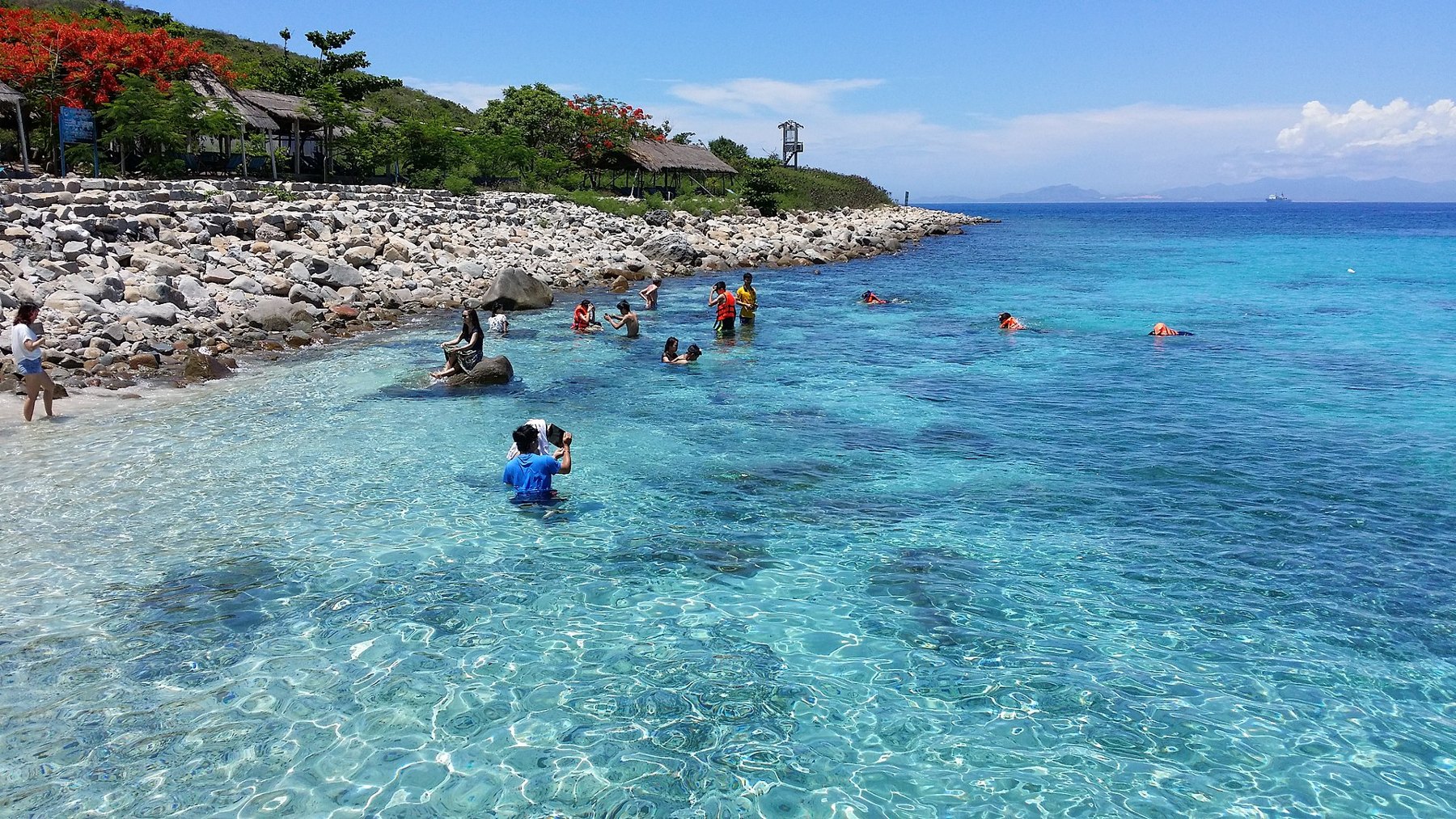 Hòn Mun Nha Trang: marine park sau đợt suy thoái san hô 2022, đi sao cho hợp lý