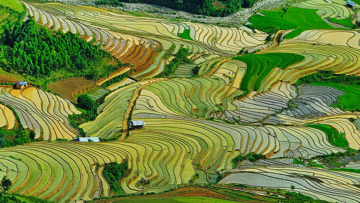 Đèo Khau Phạ mùa nước đổ — tầng ruộng ven đèo phản chiếu trời, dải dài hai bên quốc lộ 32.