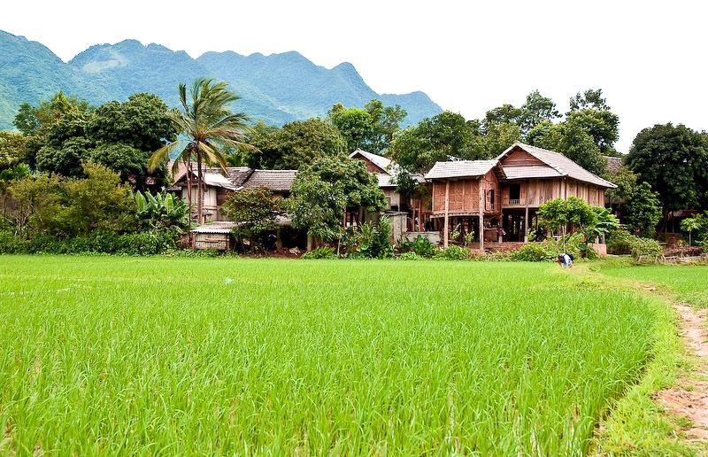 Mai Châu trong tuyến nghỉ cuối tuần giữa thung lũng Hòa Bình