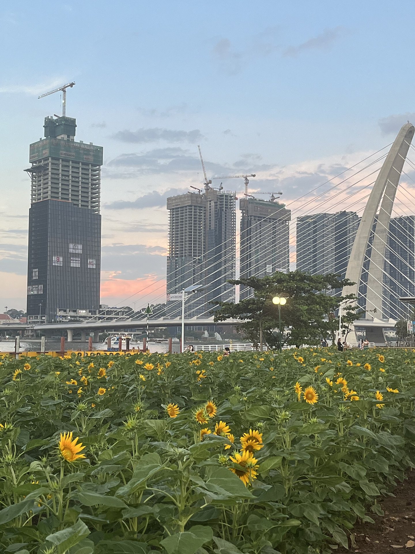 Saigon Riverside Park - kinh nghiệm tham quan và góc chụp ở TP.HCM