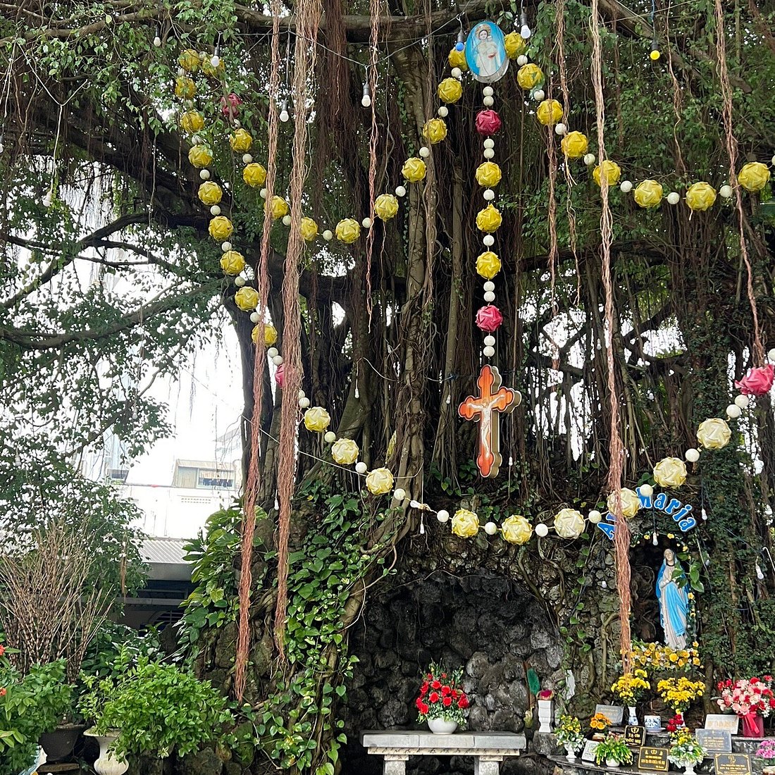 Khoảng sân và cây trang trí quanh Nhà thờ Thánh Phanxicô Xaviê ở Huế