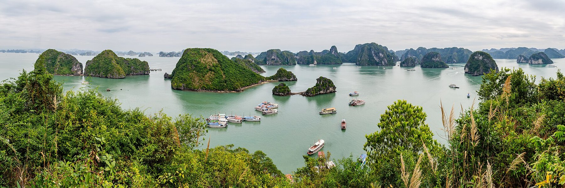 Toàn cảnh vịnh Hạ Long nhìn từ đỉnh đảo Ti Tốp với tàu neo trong vụng