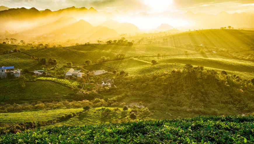 Farmstay Đà Lạt - Mộc Châu - Lâm Đồng: nông trại trở thành mô hình lưu trú