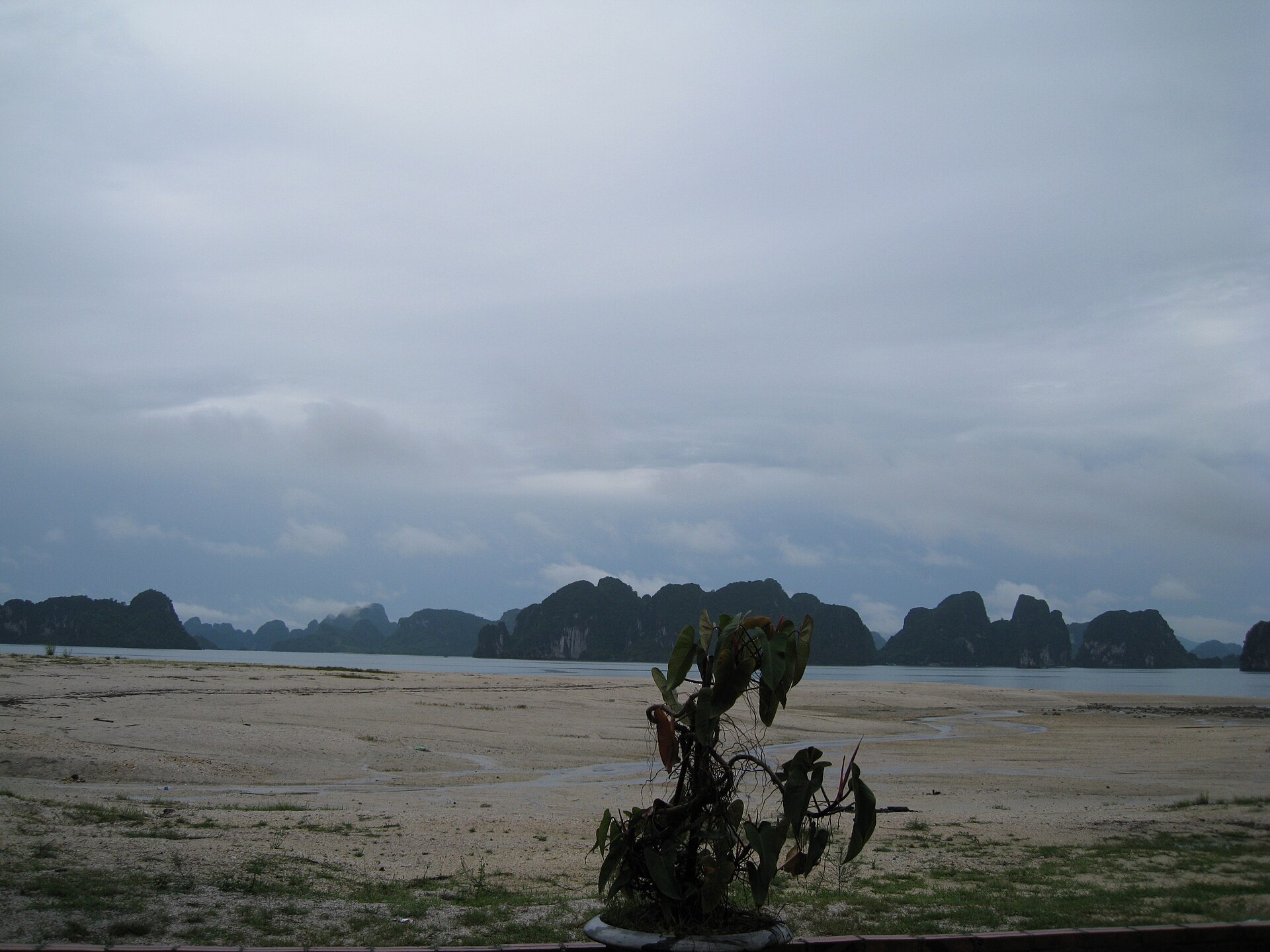 Quan Lạn - Cô Tô Quảng Ninh: hai đảo Bắc Bộ ngoài Cát Bà