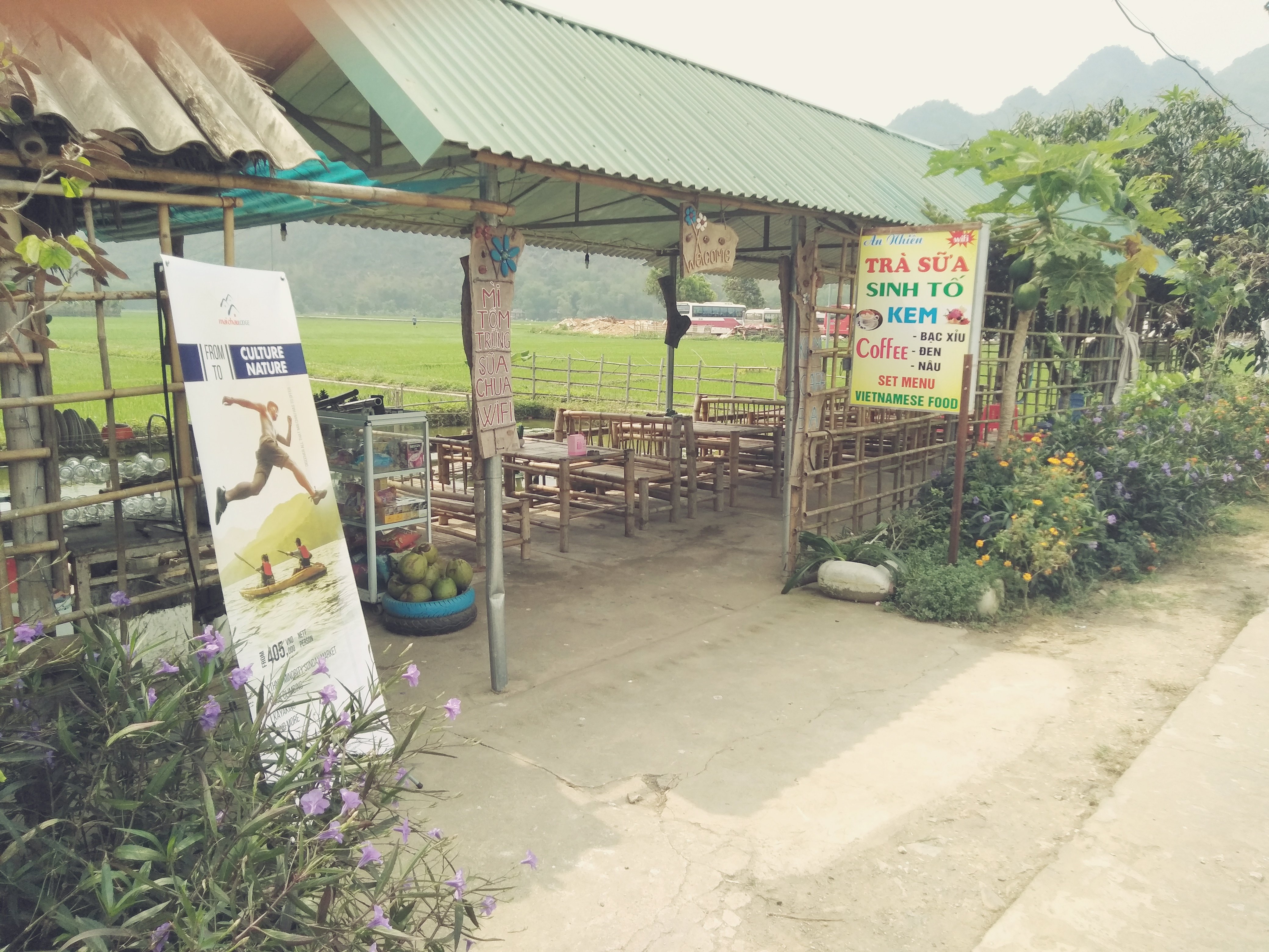 Coffe Lốp – cà phê giữa ruộng lúa ở Mai Châu
