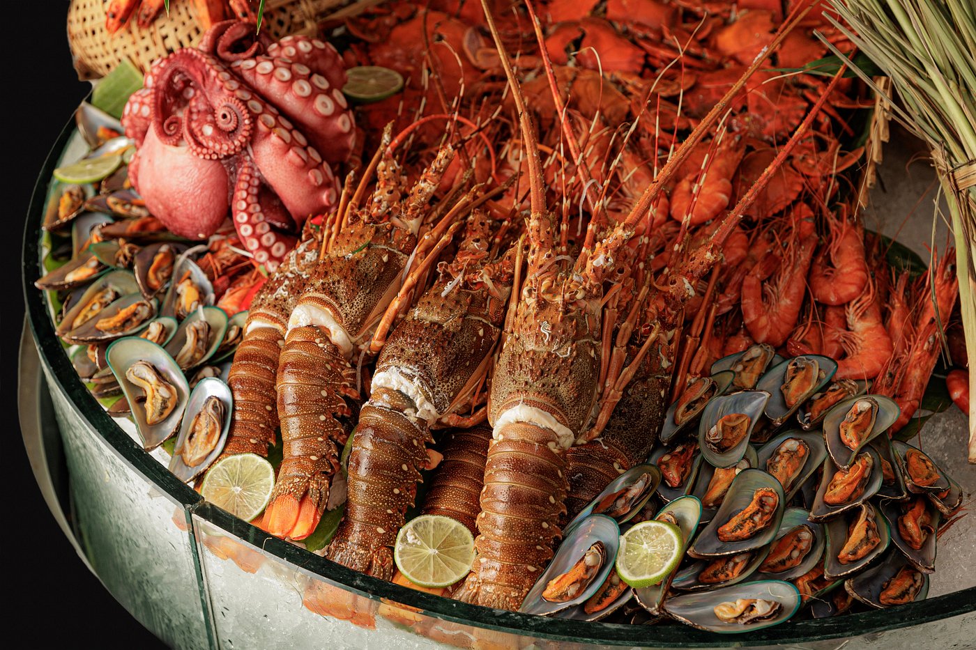 Feast Nha Trang - buffet hai san tai Sheraton Tran Phu