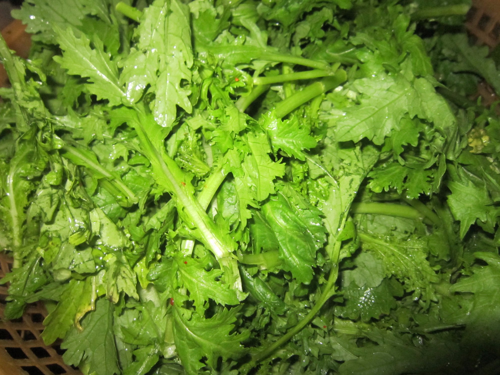 Hoang Minh Sapa Restaurant