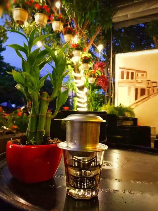 Ly cafe và góc đèn cây bên ngoài của IC Pub Coffee