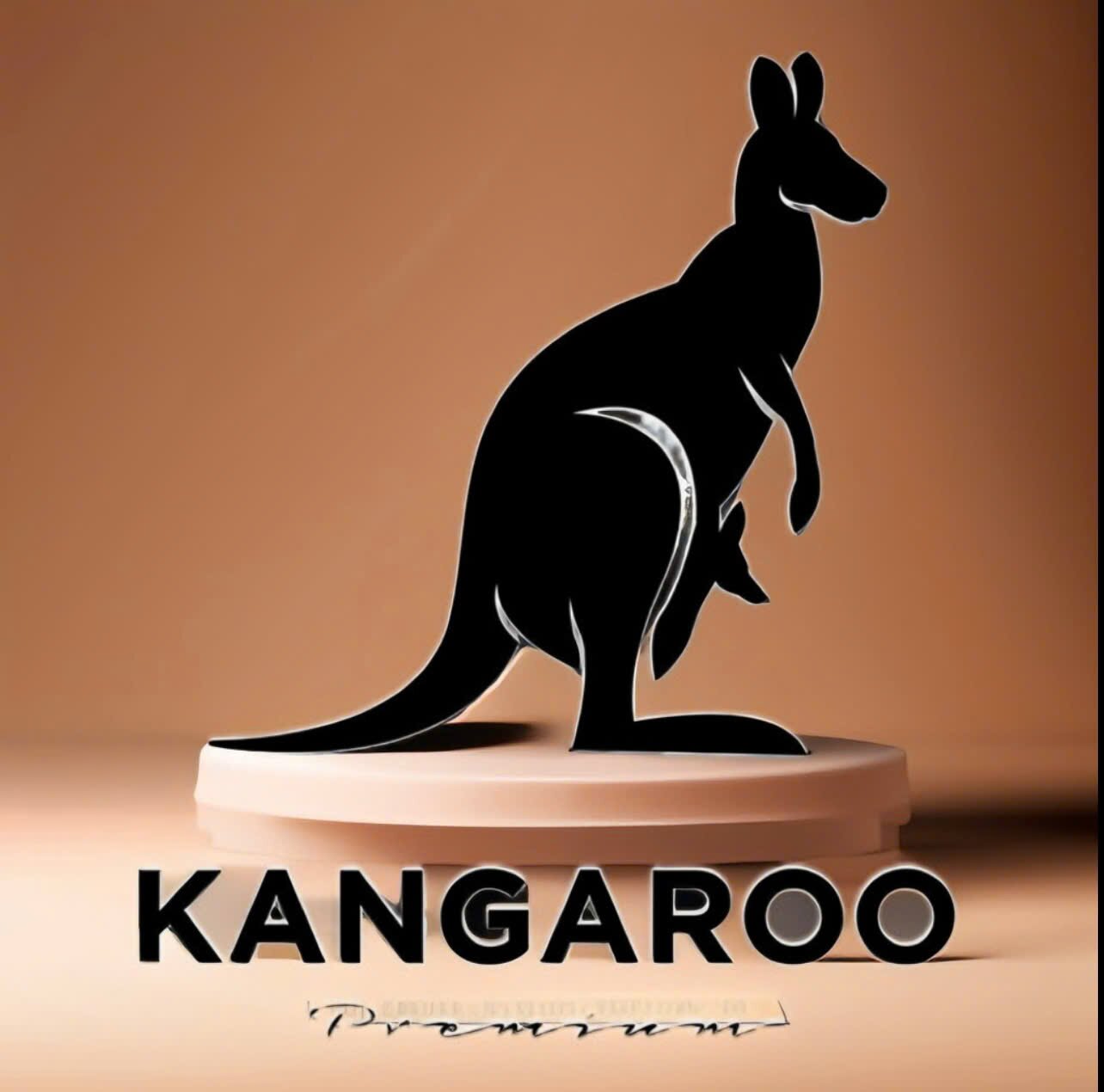 Kangaroo Pizza & Burger Da Nang