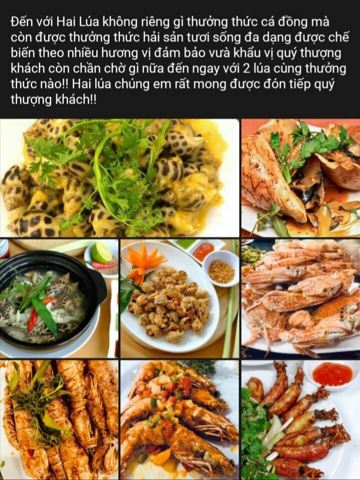 Nhà hàng Hai Lúa