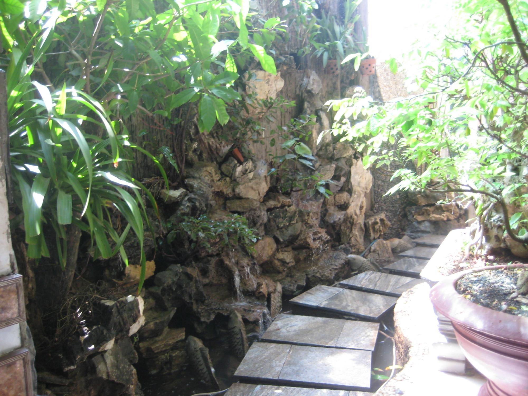 Quyên Quyên