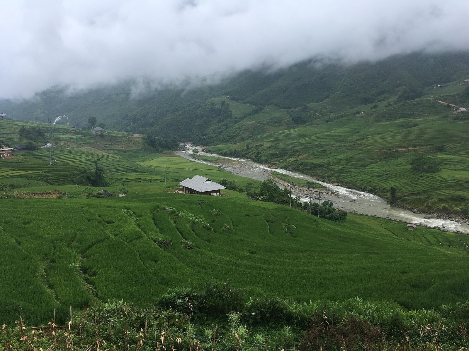 Lòng thung lũng Mường Hoa với ngôi nhà nhỏ giữa ruộng lúa và dòng suối, mây phủ lưng núi