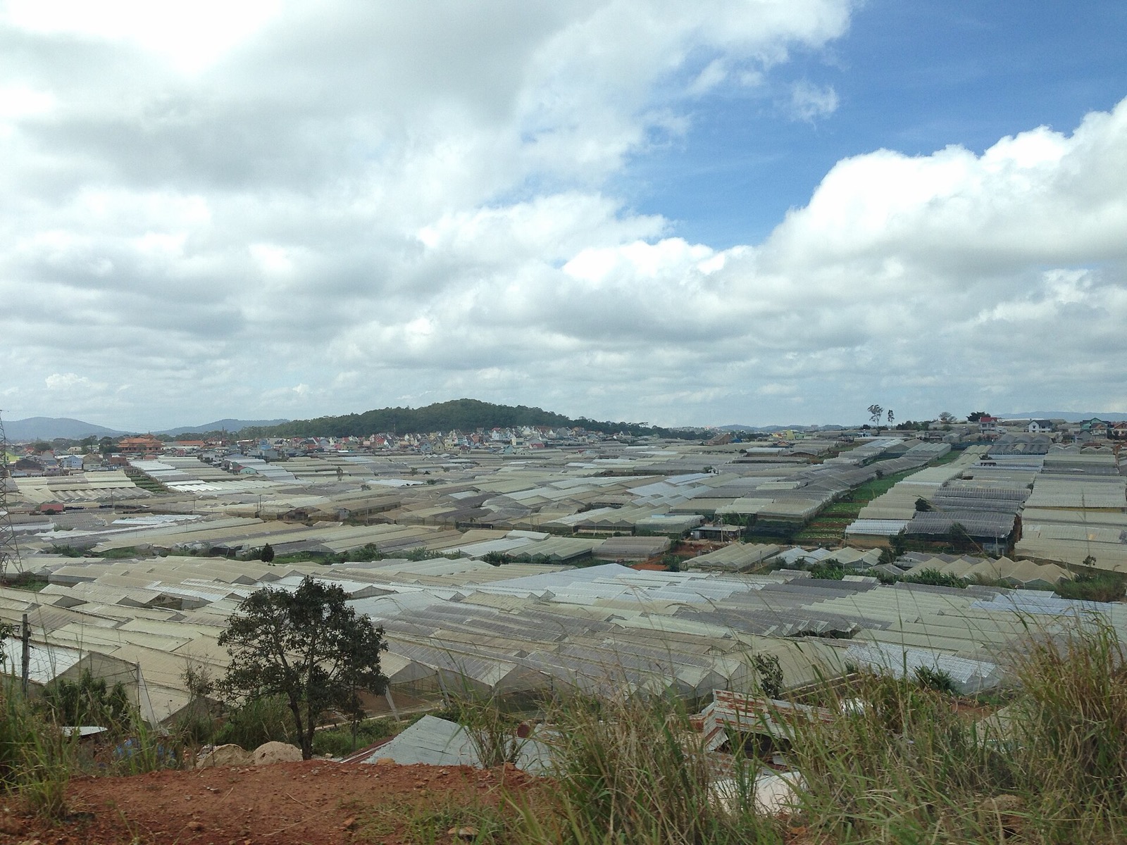 Tour đạp xe ngoại ô Đà Lạt và làng hoa