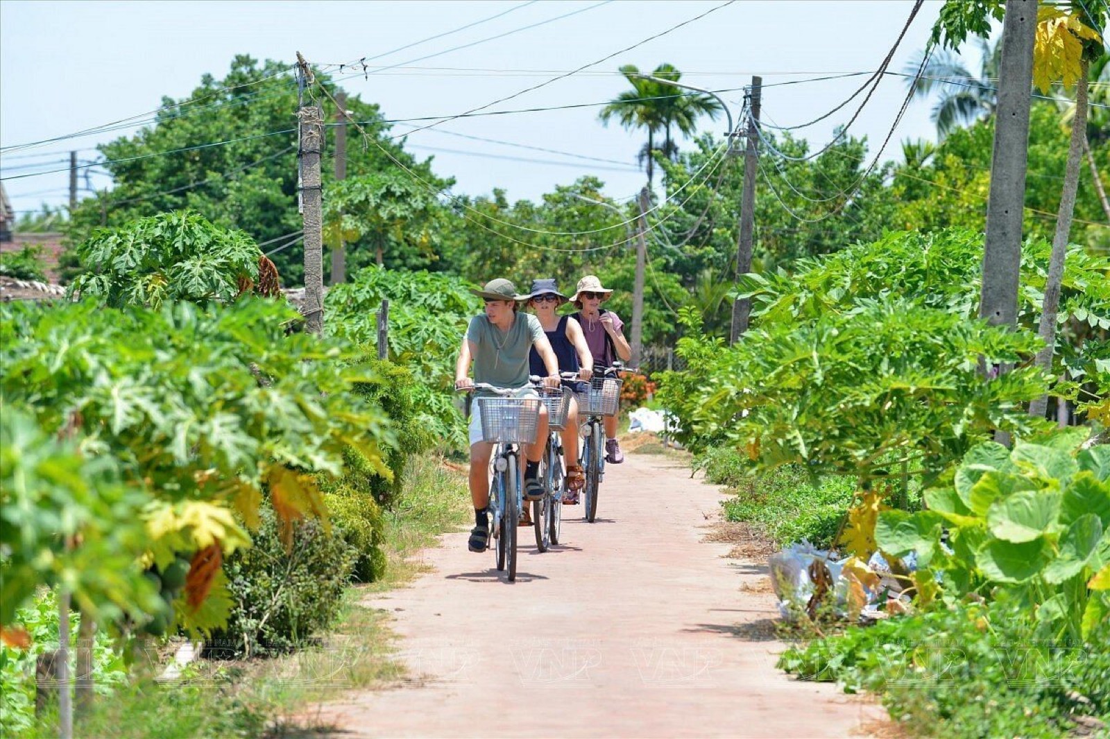 Tour Hội An: đạp xe làng quê và lớp học nấu ăn